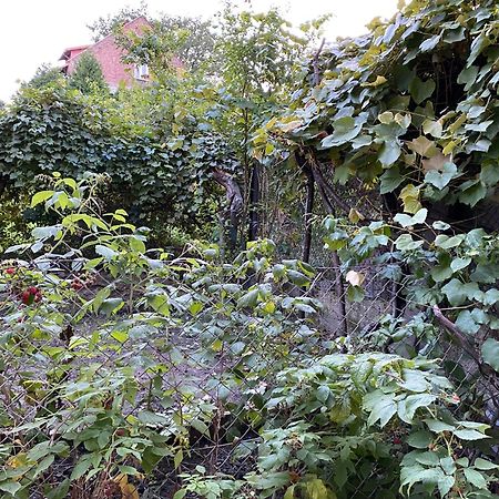 Apartamenty Lux Slowackiego, Przemyśl Extérieur photo