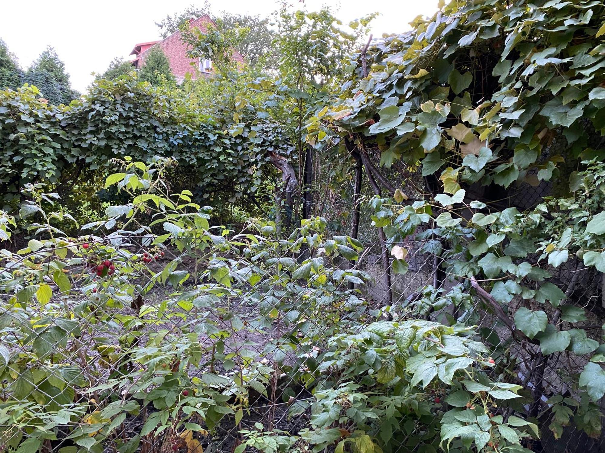Apartamenty Lux Slowackiego, Przemyśl Extérieur photo